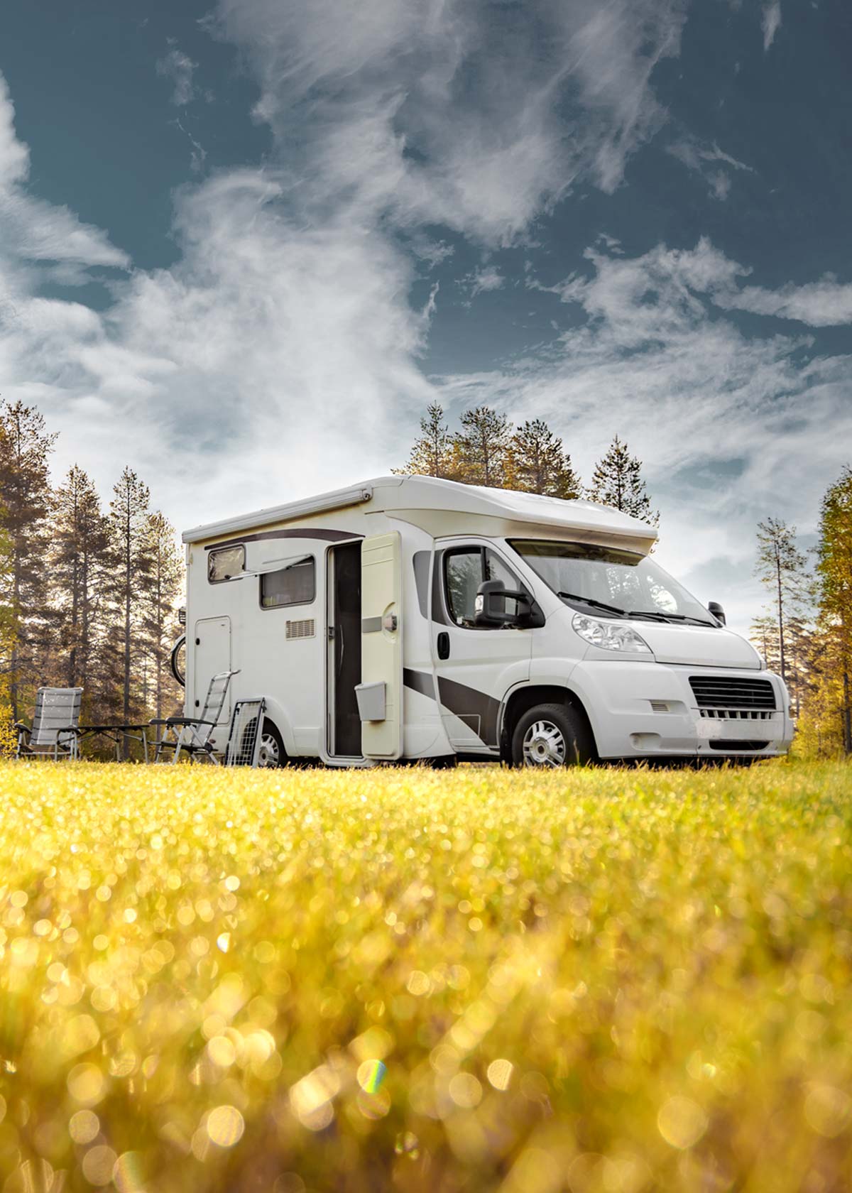 Werkstatt | Service | Shop